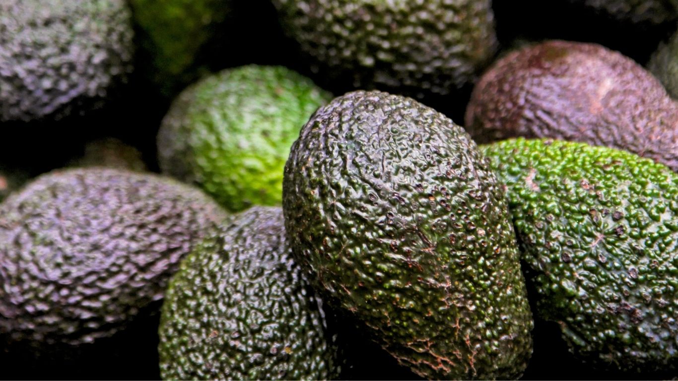 Awokado - kupować czy nie kupować?